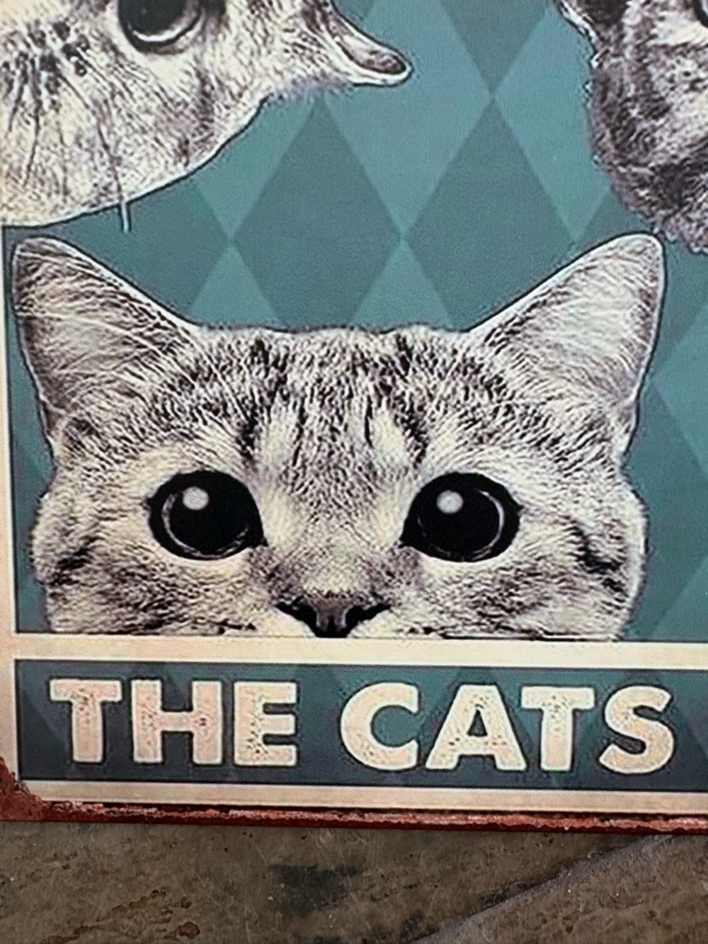 Cat Wall Art Sign - Teal Cat Design